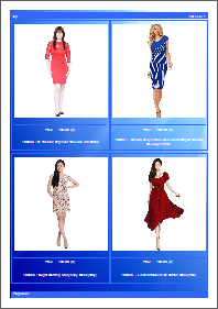 PDF catalog template 4 items per page blue style PDF catalog template 4 items per page blue style