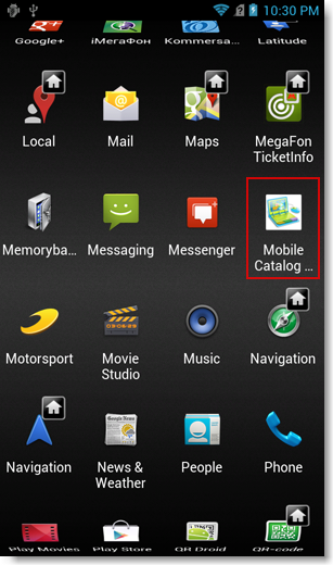 App icon in the android device