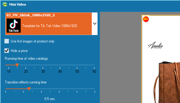 Select the template for mini video catalog for TikTok